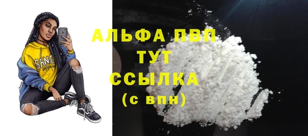 спиды Новодвинск