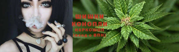 эйфоретик Новокубанск