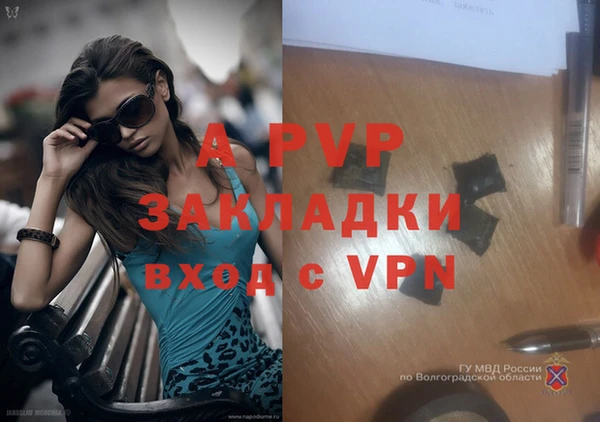 эйфоретик Новокубанск