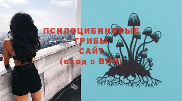 кокс Новозыбков